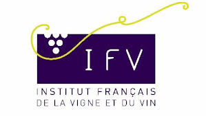 Logo IFV