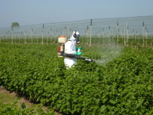 P1010104 phytosanitaires pesticides analyses BPL