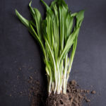 les alertes sanitaires de février 2022